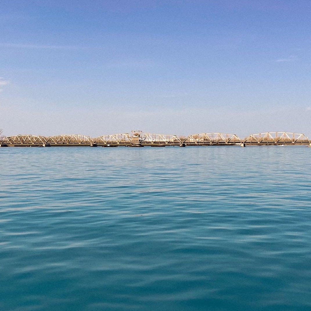 DNRV Crewneck - (Bridge)