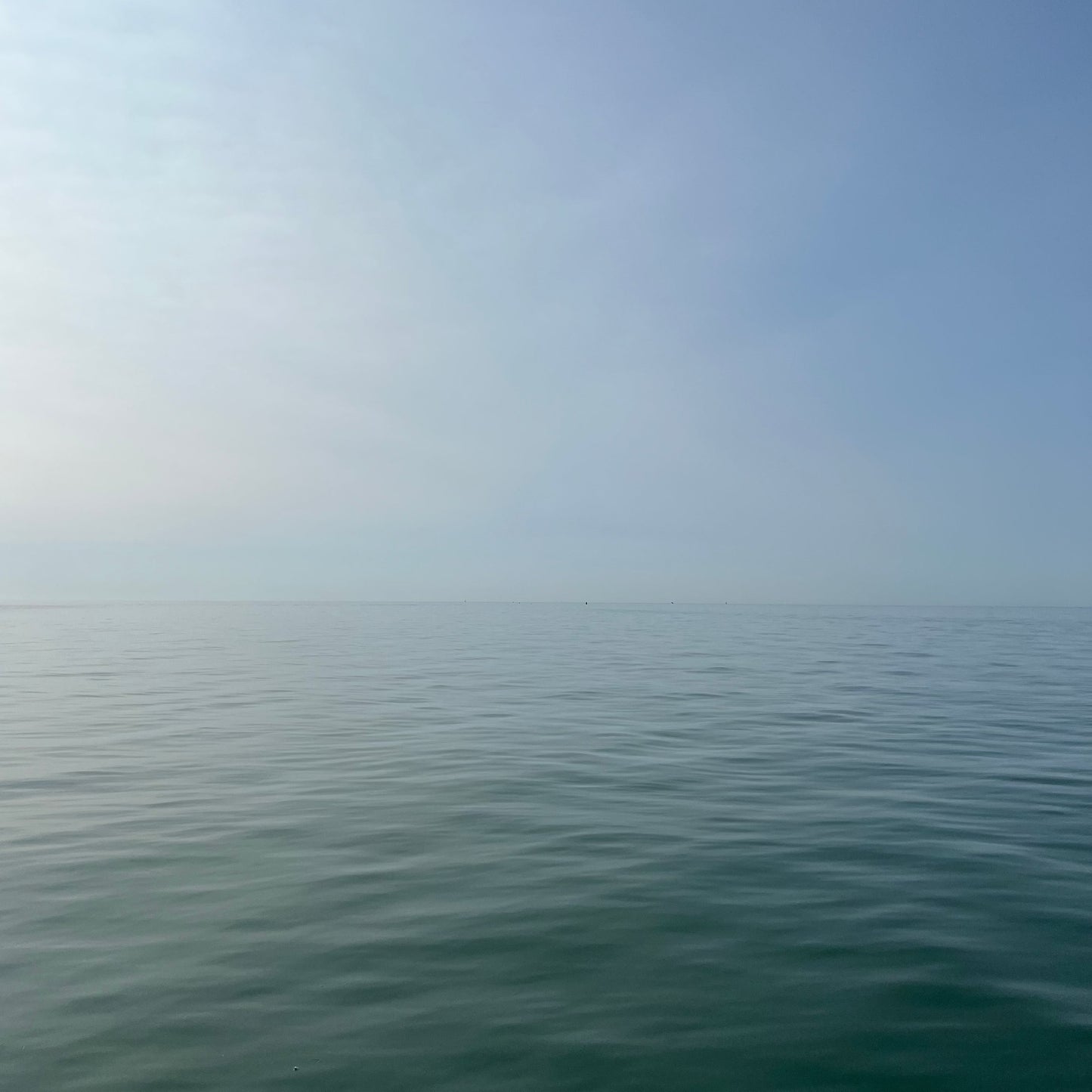 DNRV Hoodie - (River)