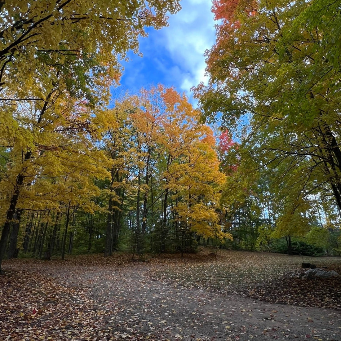 DNRV Crewneck - (Michigan)
