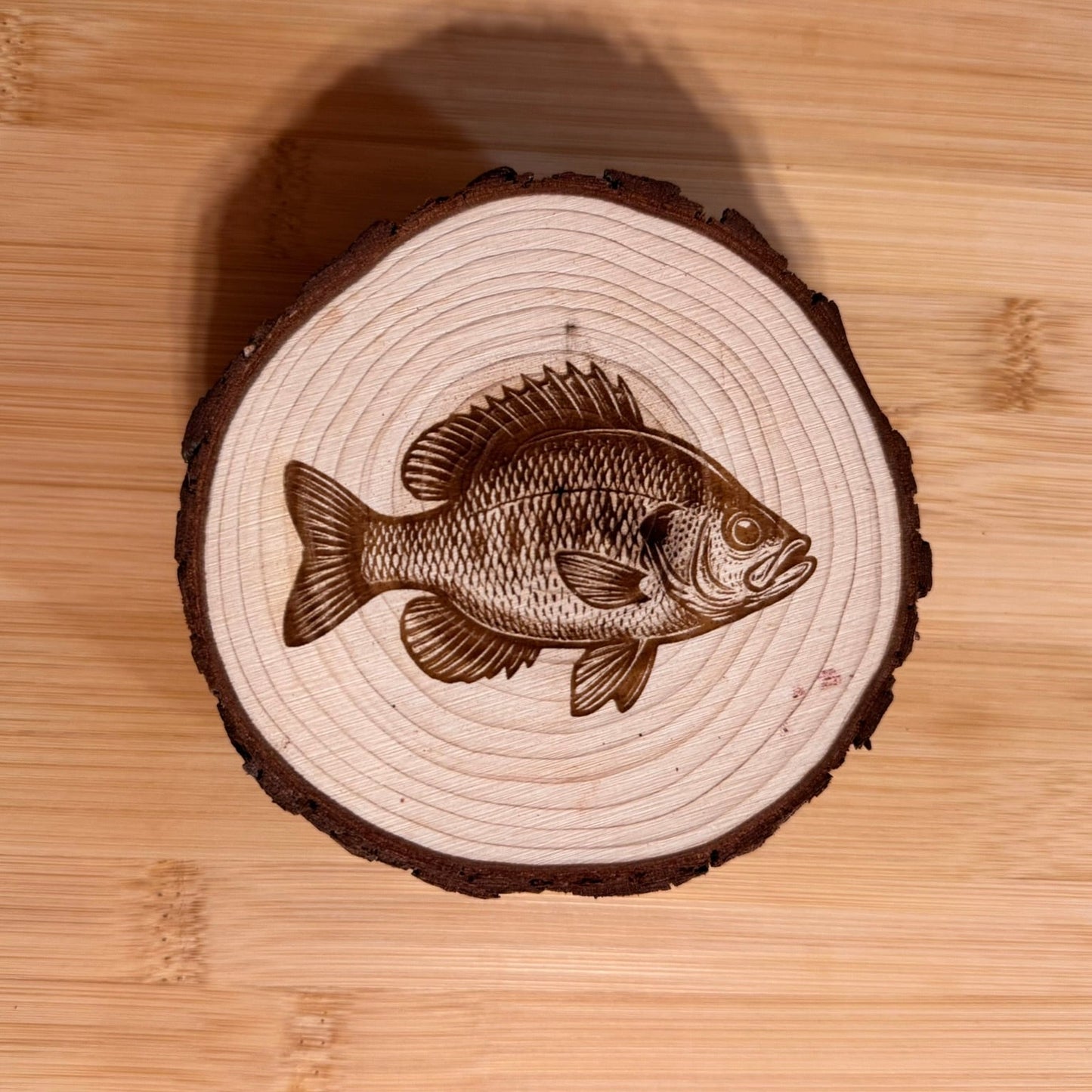 Freshwater Fish Coasters (Set of 4)