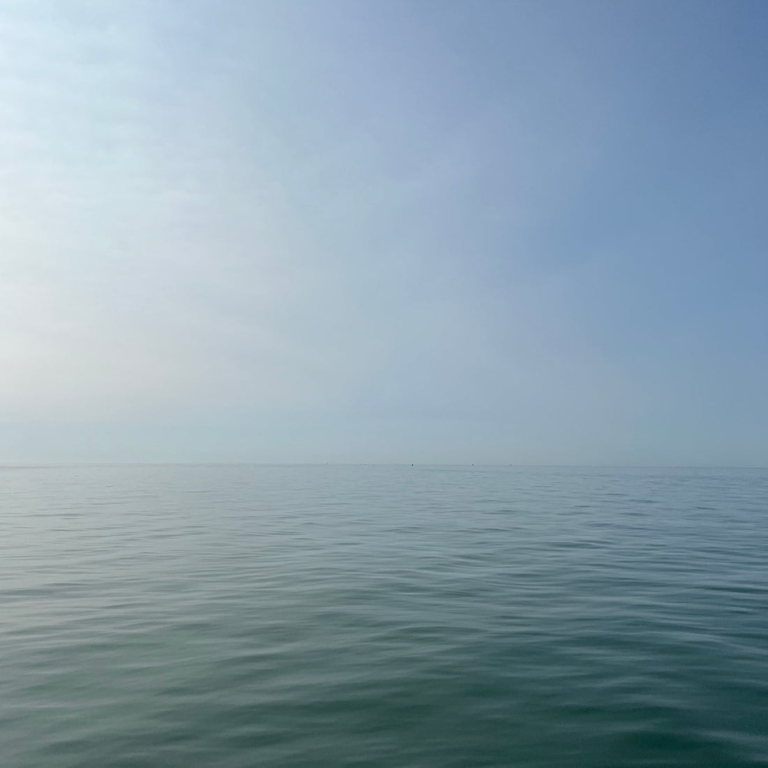 DNRV Crewneck - (River)