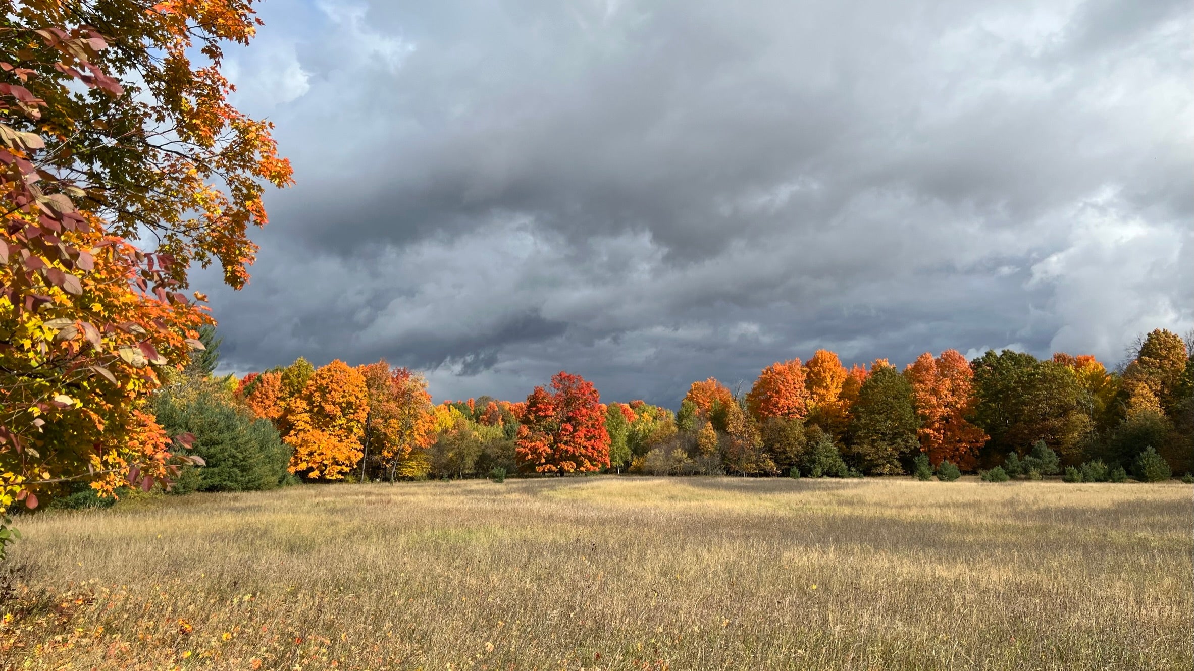 Michigan fall landscape